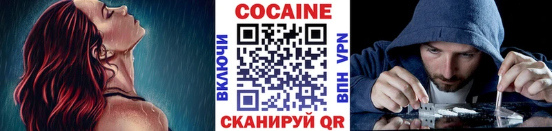 Кокаин Fish Scale  Купить закладки  Тихвин 