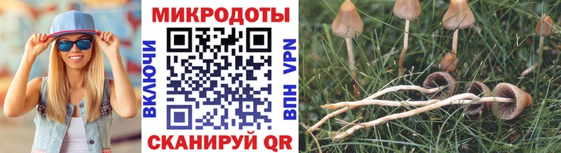 Псилоцибиновые грибы ЛСД Тихвин