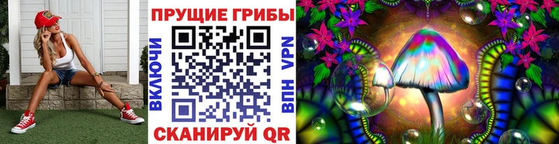 Купить закладки  Тихвин  Галлюциногенные грибы мицелий 
